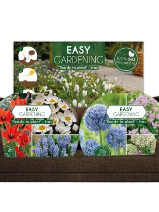 Easy Gardening Happy Bee Mixed