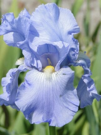 Iris Babbeling Brook - bag