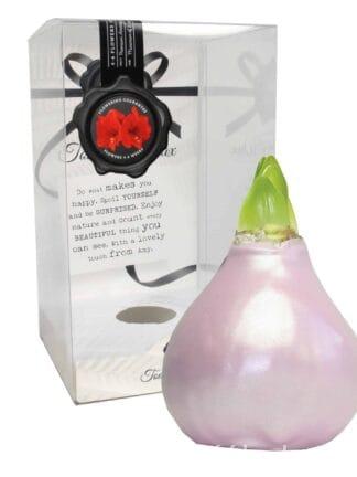 ToW Celebration pearl pink