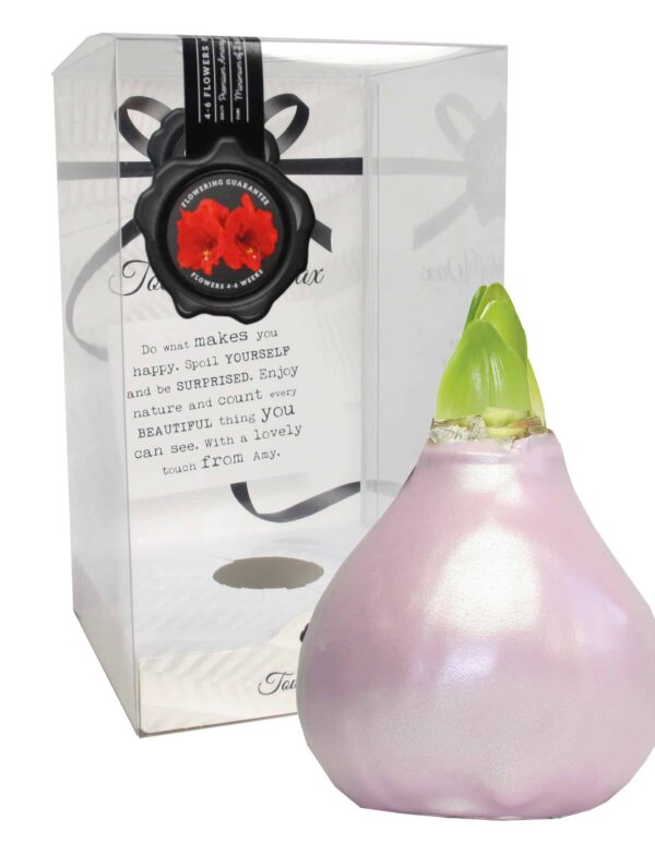 ToW Celebration pearl pink