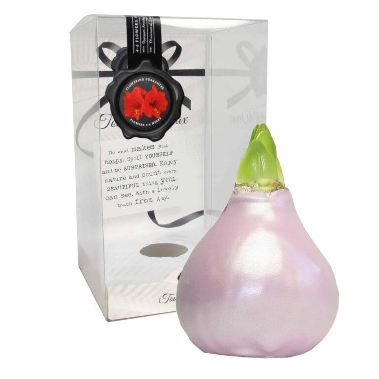 ToW Celebration pearl pink