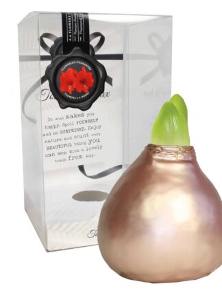 ToW Celebration pearl rosé-gold