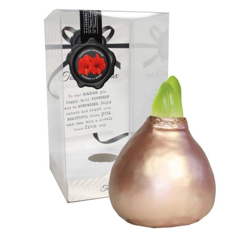ToW Celebration pearl rosé-gold