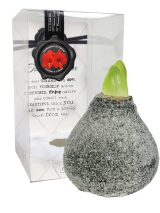 ToW Glamour black