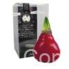 ToW Gloss X-mas red