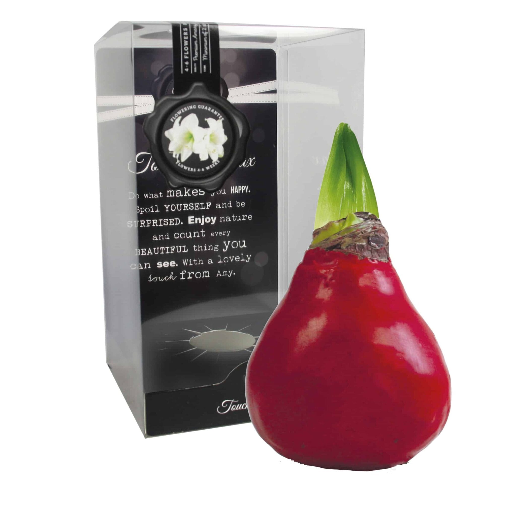 ToW Gloss X-mas red