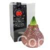ToW Magic rose-gold