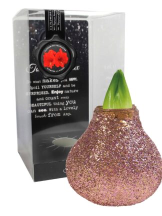 ToW Magic rose-gold