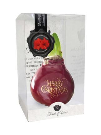 SE/06 in PET gift box / red flower