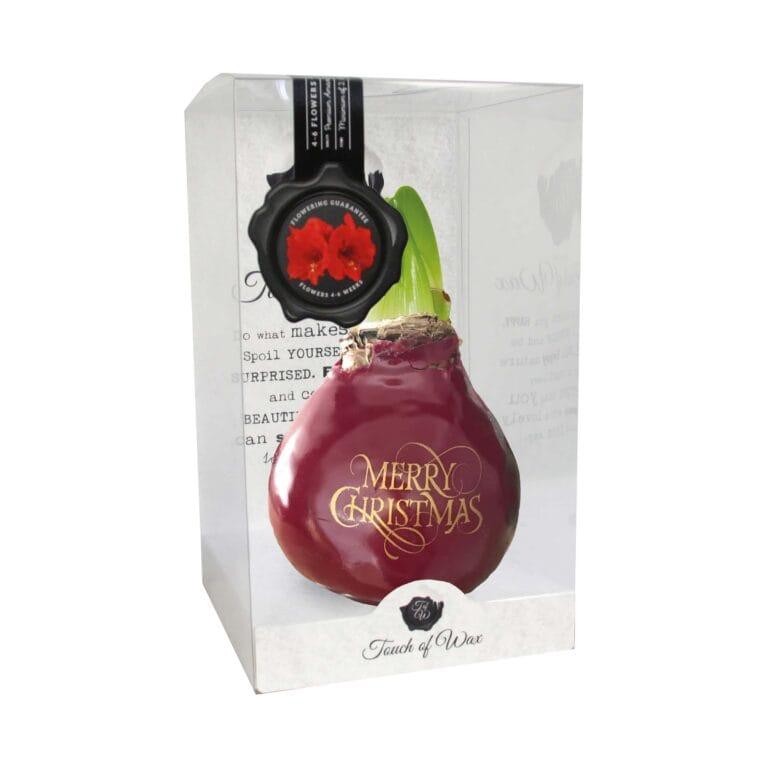 SE/06 in PET gift box / red flower