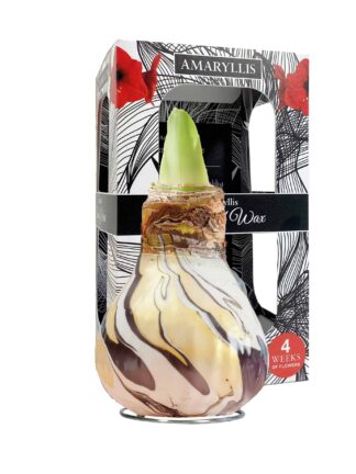 ToW Swirl black
