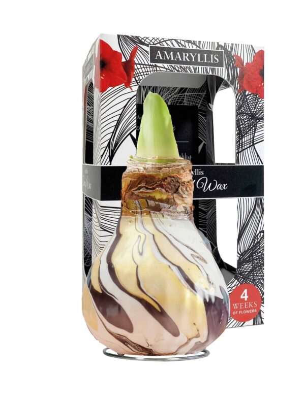 ToW Swirl black