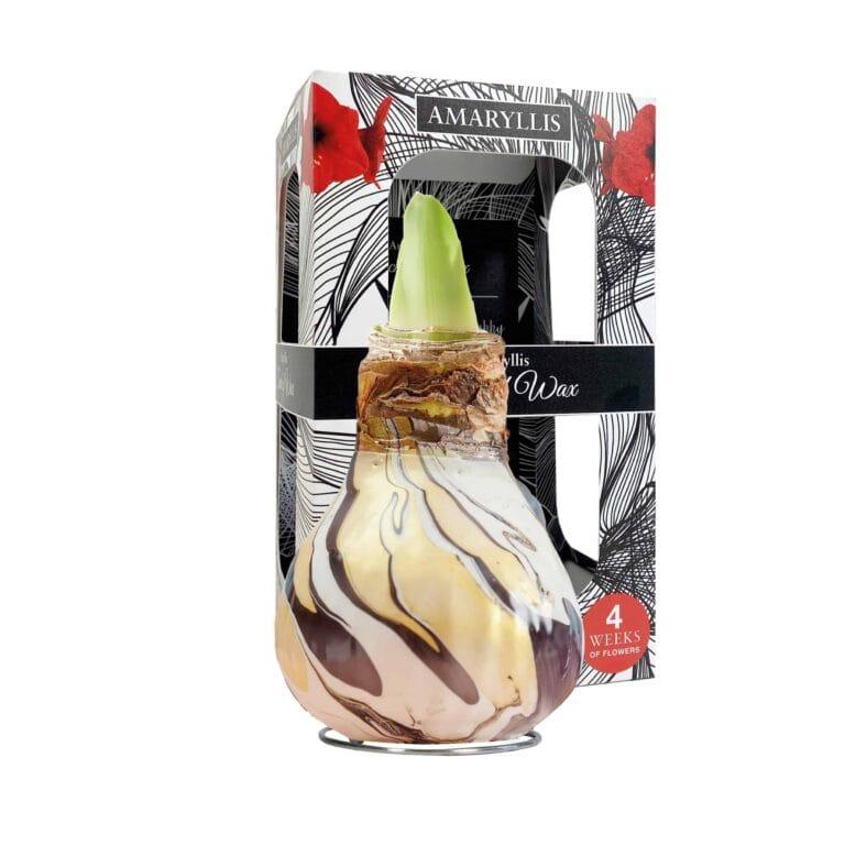 ToW Swirl black