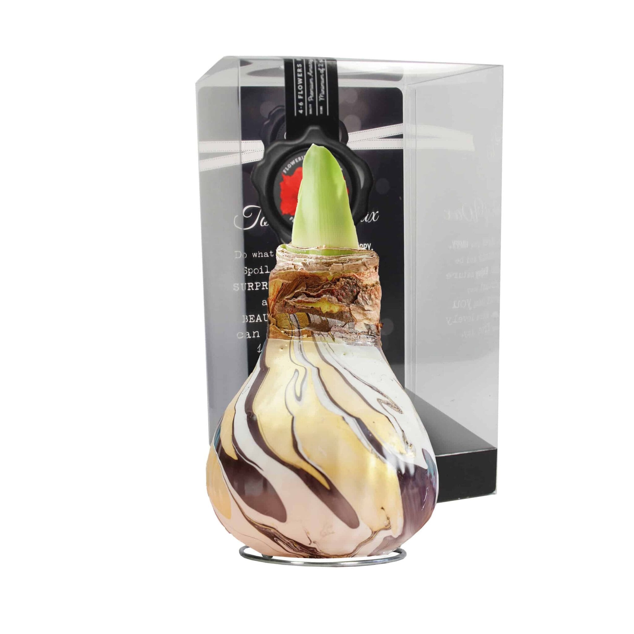 ToW Swirl black