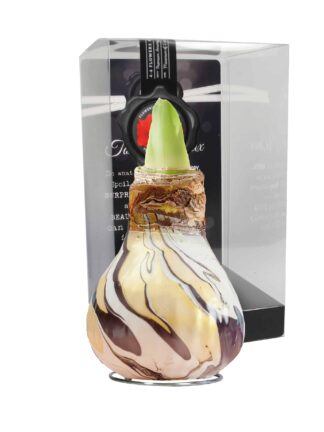 ToW Swirl black