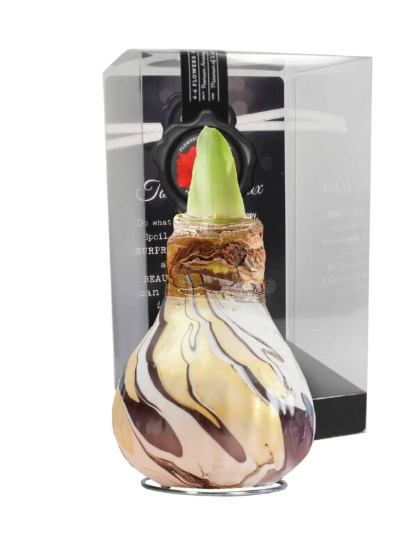ToW Swirl black