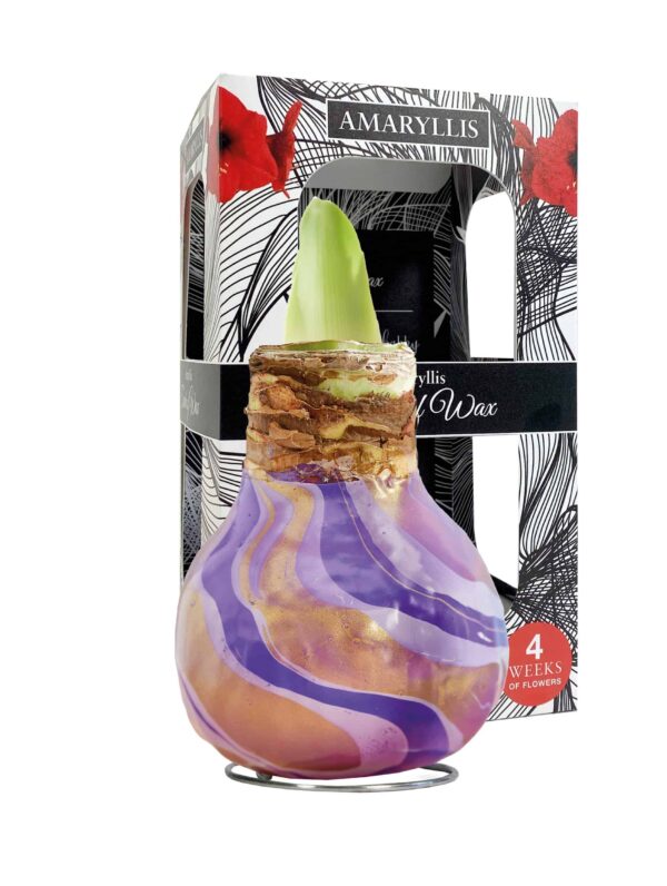 ToW Swirl purple