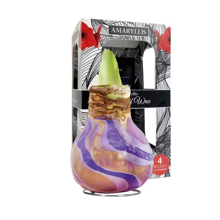 ToW Swirl purple