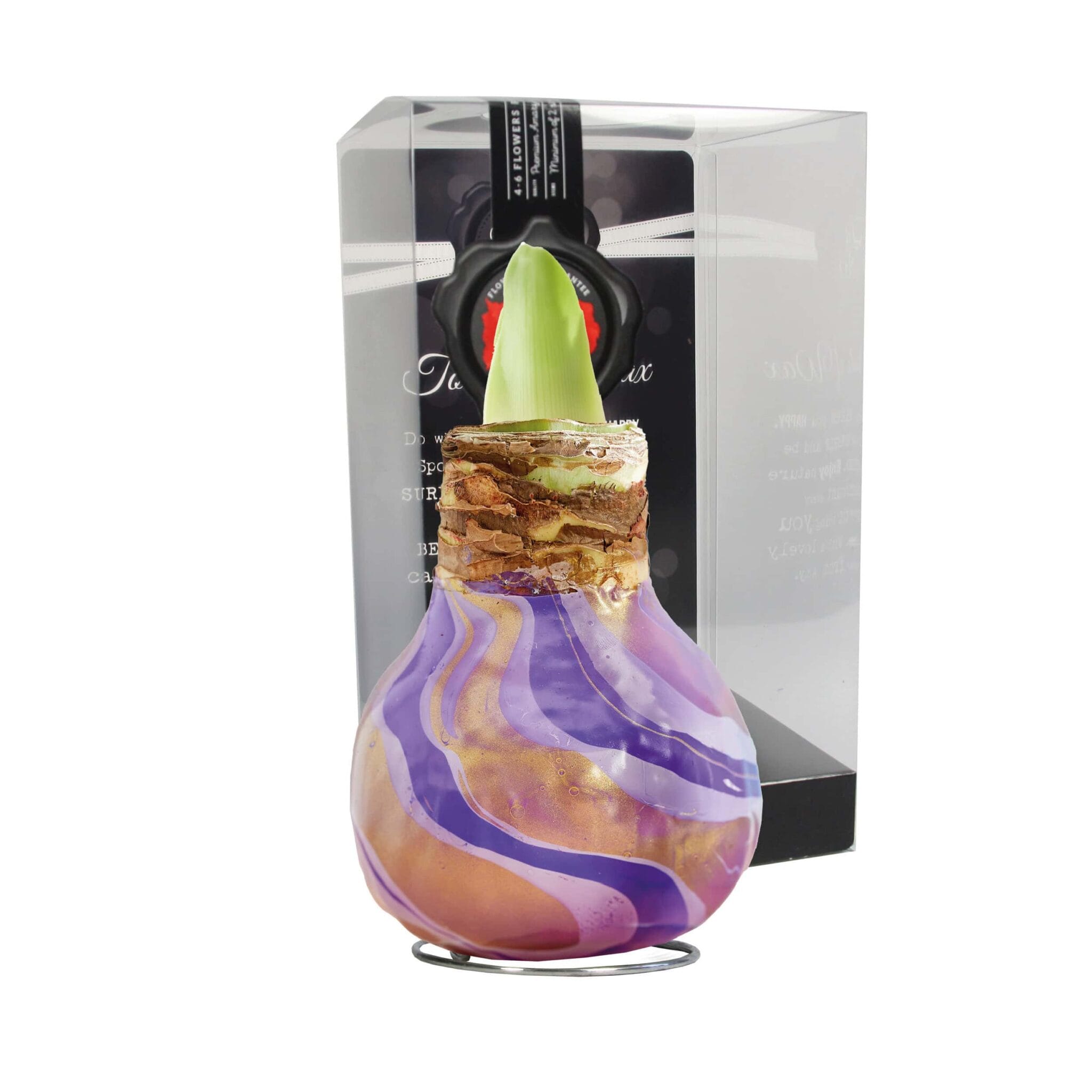 ToW Swirl purple