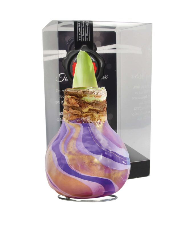 ToW Swirl purple