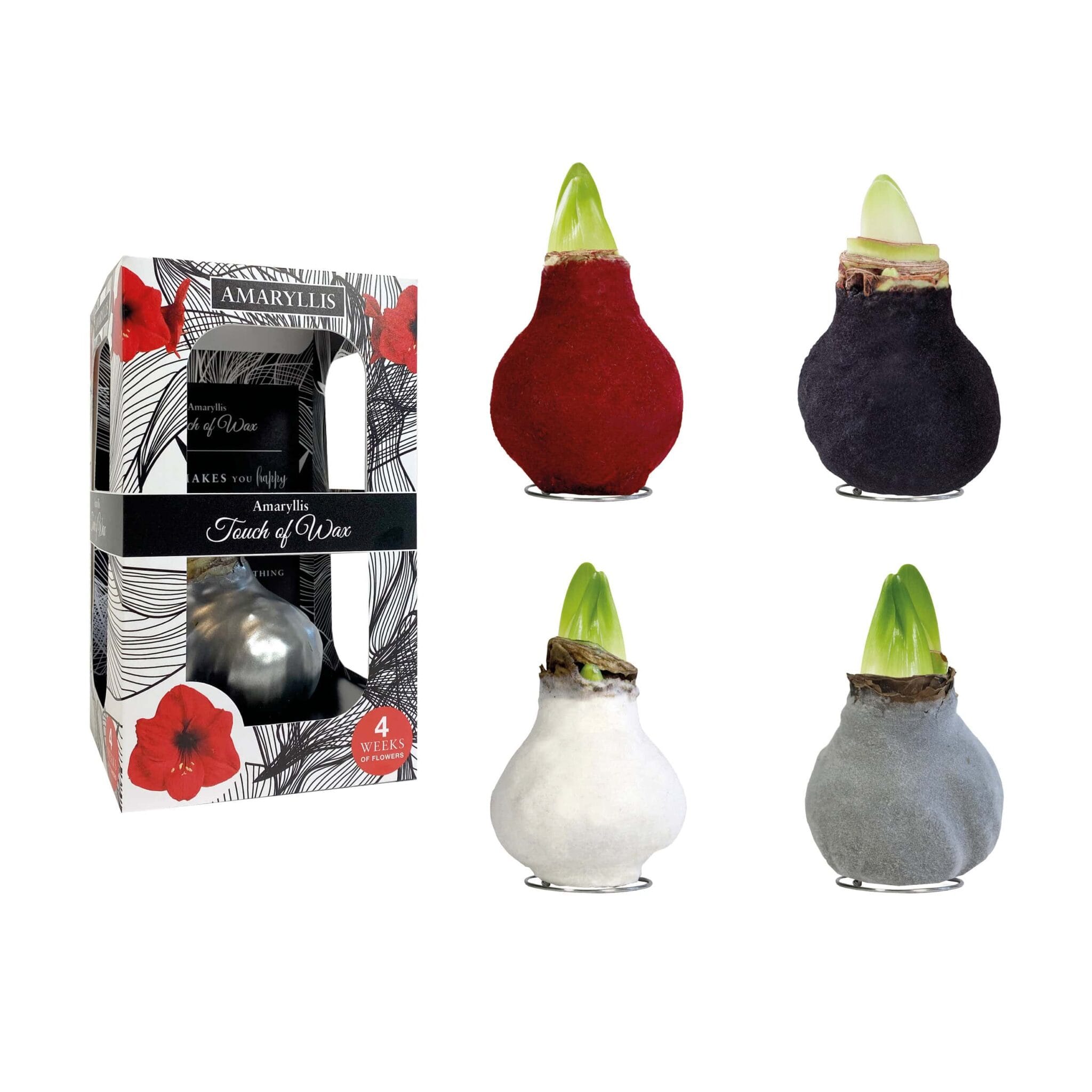 FA/01 mixed colours in carton gift box / red flower