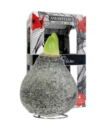 ToW Glamour black