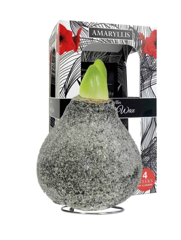 ToW Glamour black