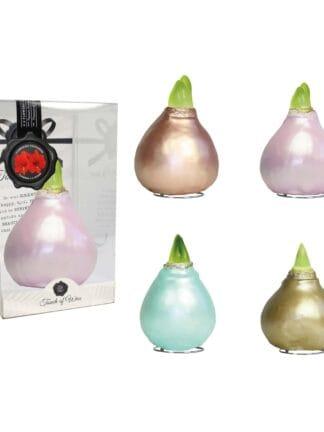 CE/01 mixed colours in PET gift box / red flower