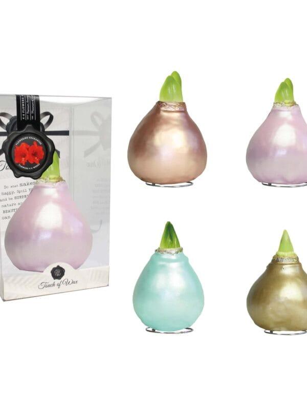 CE/01 mixed colours in PET gift box / red flower
