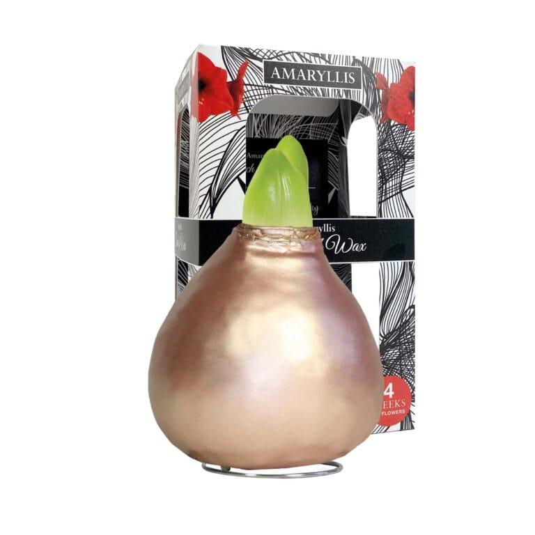 ToW Celebration pearl rosé-gold