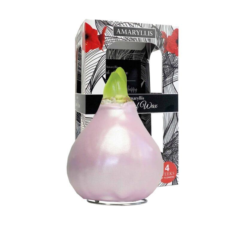 ToW Celebration pearl pink