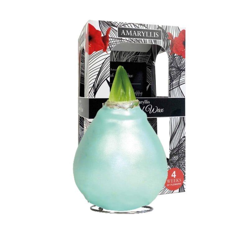 ToW Celebration pearl vintage green