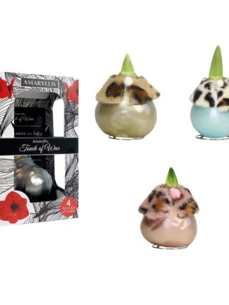 ToW Dressed Mix DR-02