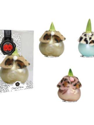 DR/02 mixed colours in PET gift box / red flower