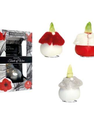 DR/03 mixed colours in carton gift box / red flower