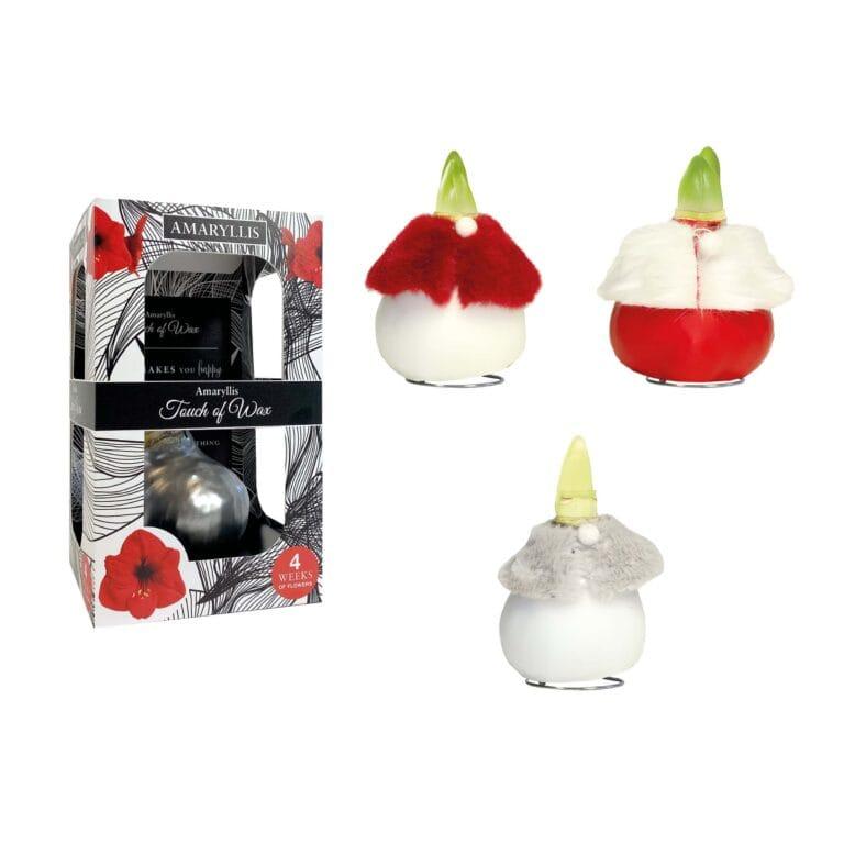 DR/03 mixed colours in carton gift box / red flower