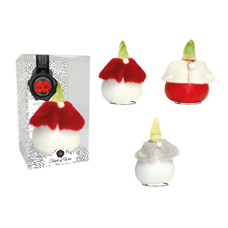 DR/03 mixed colours in PET gift box / red flower