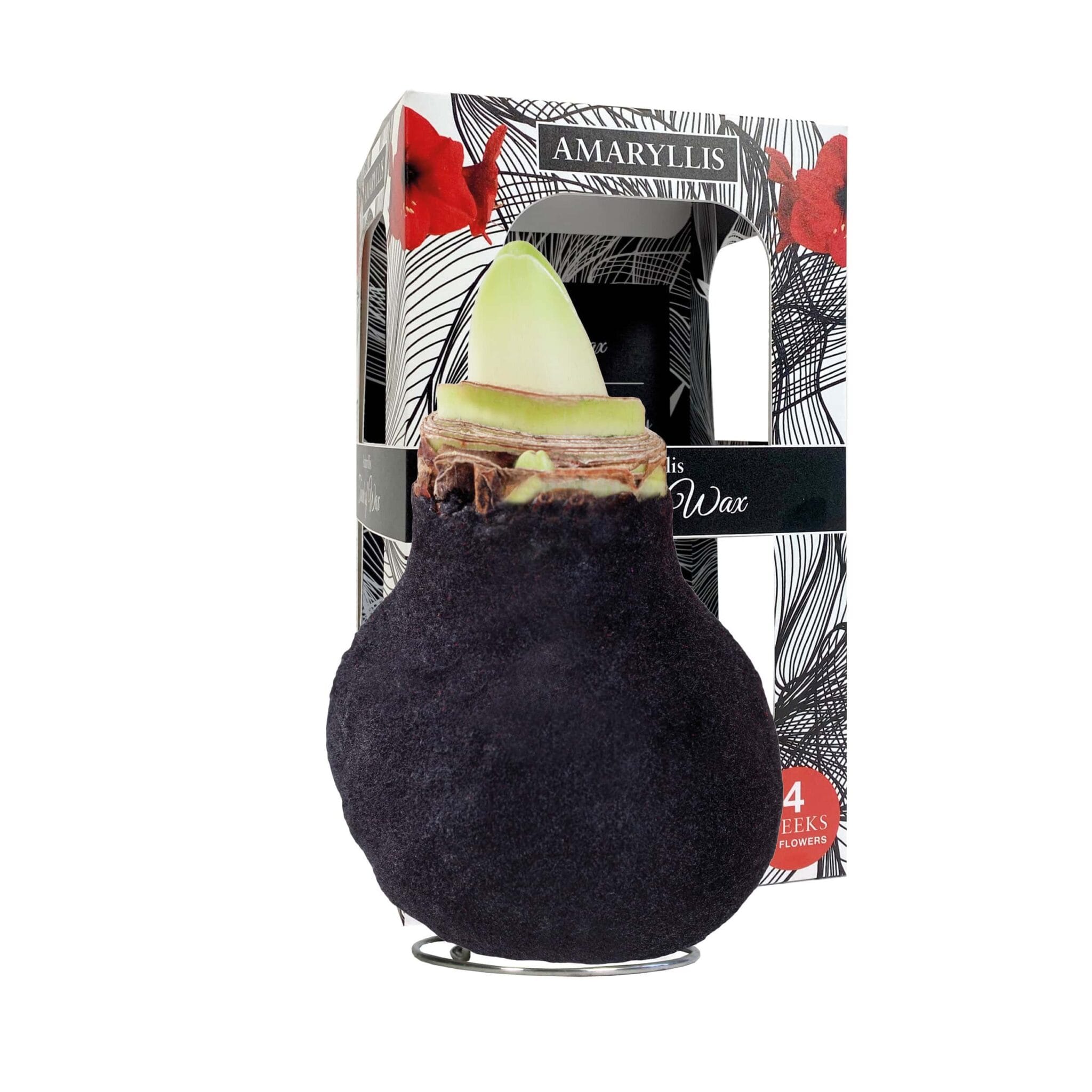 ToW Fashion black