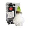 ToW Fashion white