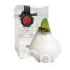 ToW Glamour white