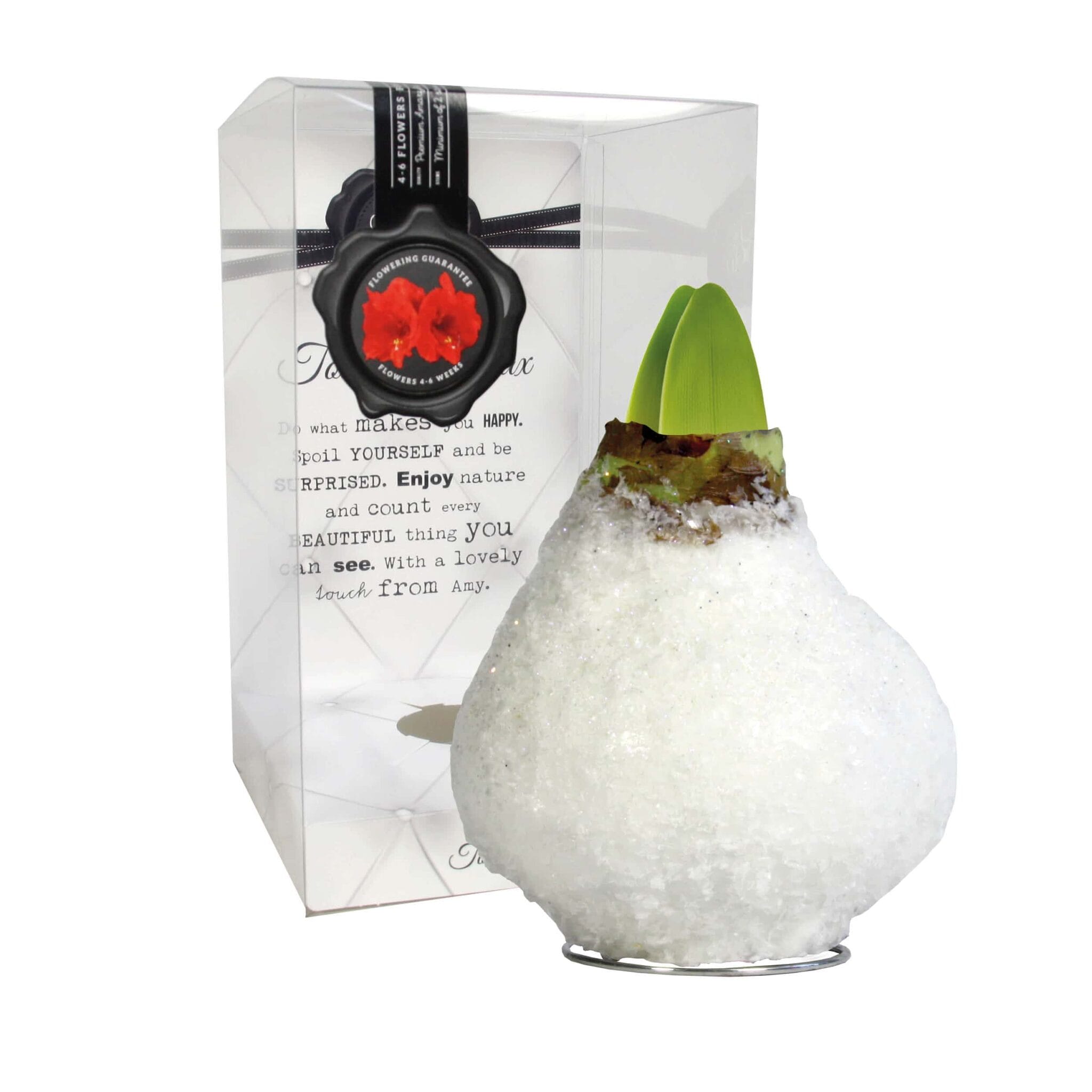 ToW Glamour white
