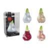 GL/01 mixed colours in PET gift box / red flower