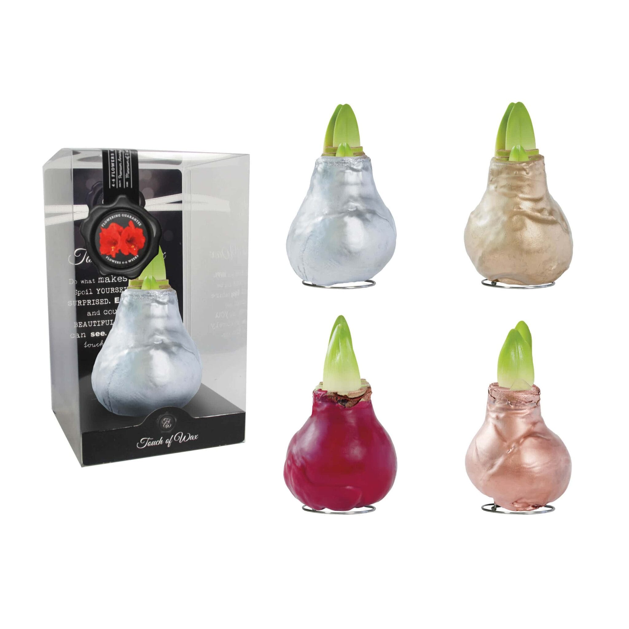 GL/01 mixed colours in PET gift box / red flower