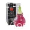 ToW Gloss red
