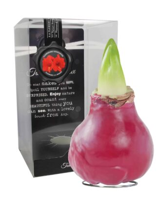 ToW Gloss red