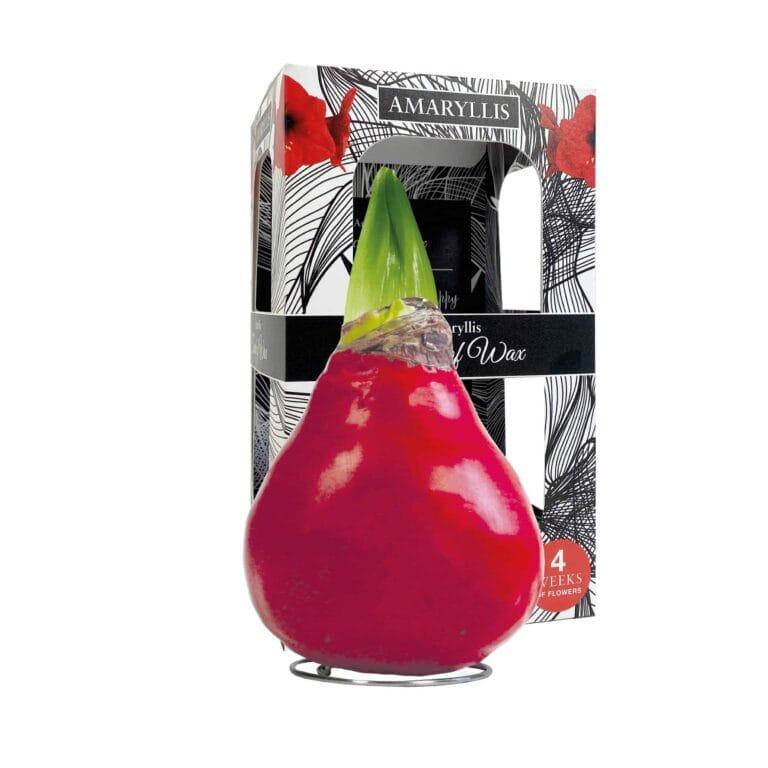 ToW Gloss X-mas red