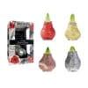 MA/03 mixed colours in carton gift box / red flower - BIO