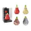 MA/03 mixed colours in PET gift box / red flower - BIO