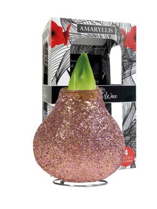 ToW Magic rose-gold