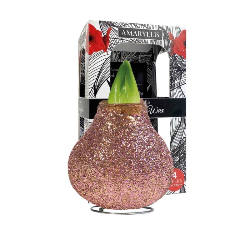 ToW Magic rose-gold